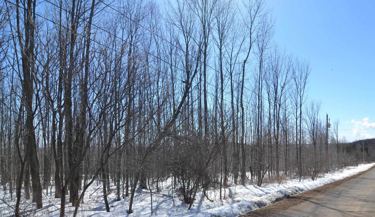 00 Wintergreen Road - Photo 1