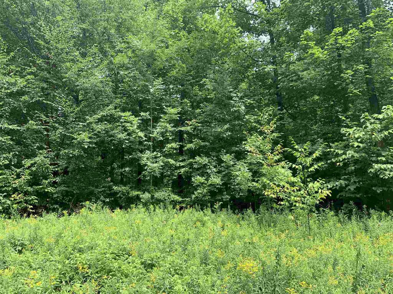 Thorn Apple Drive - Photo 1
