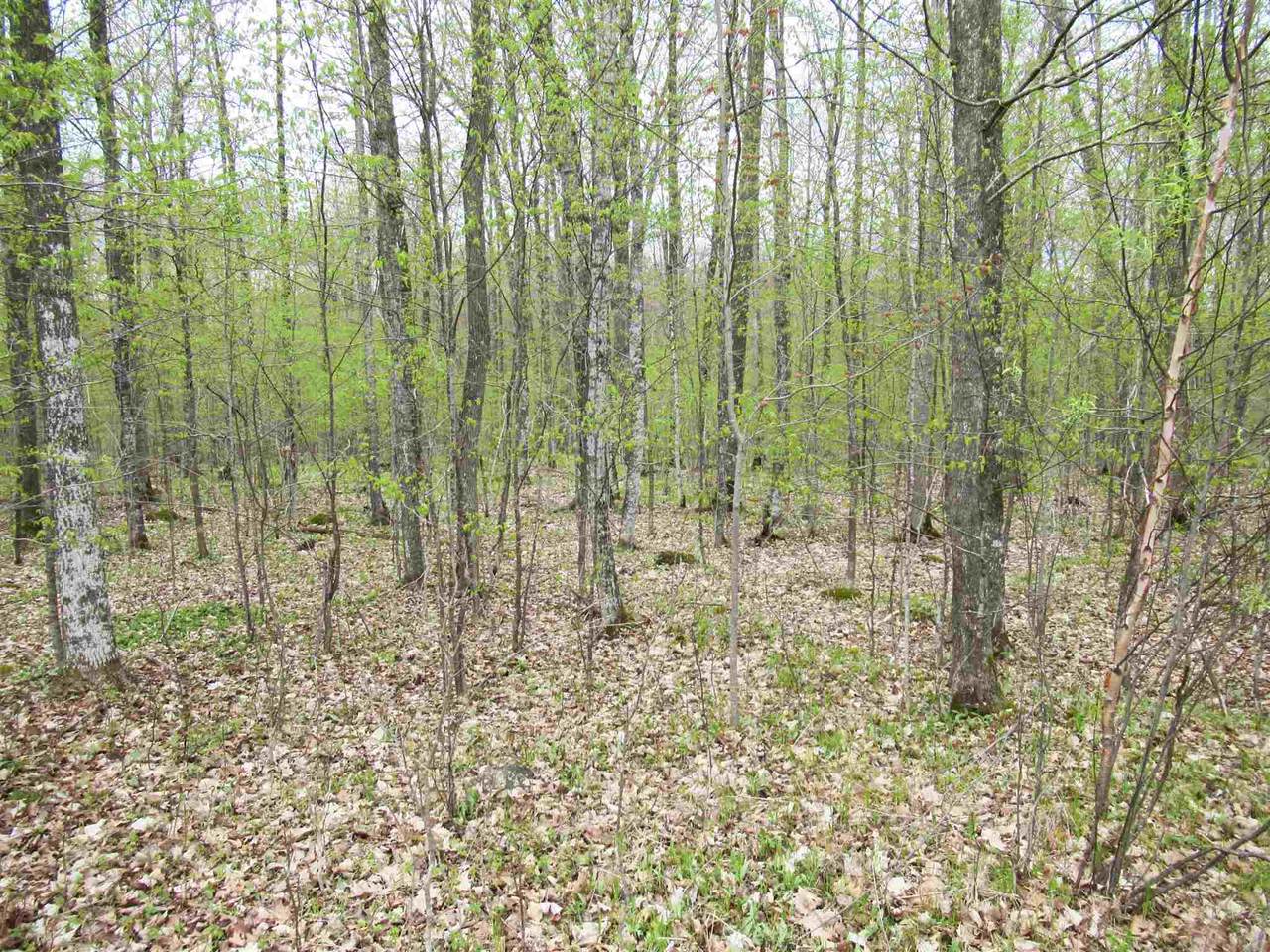Parcel 12 Forest Edge Road - Photo 1