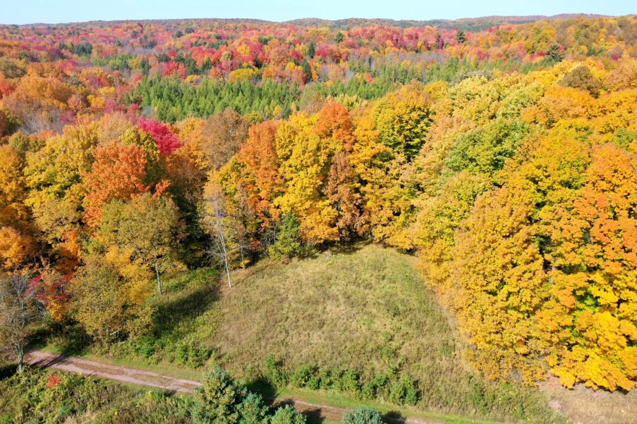 +/- 5.39 Acres Sawyer Avenue - Photo 1