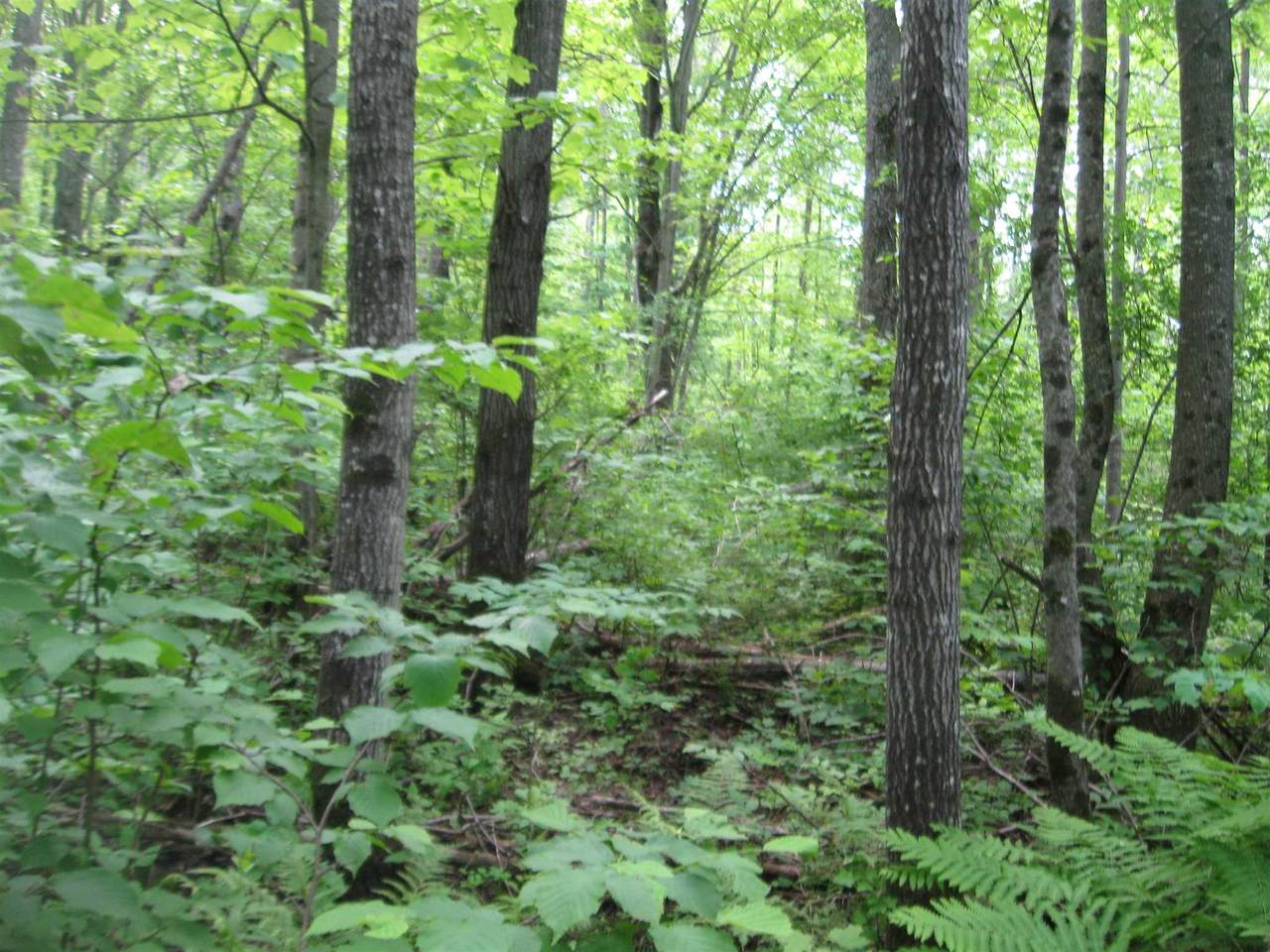 30acres State Highway 27 - Photo 1
