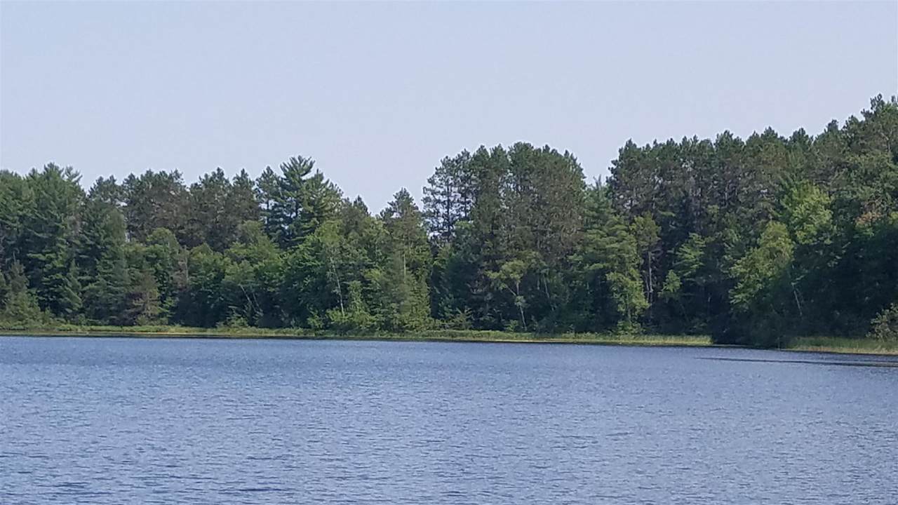 100A Bush Lake County Road C - Photo 1