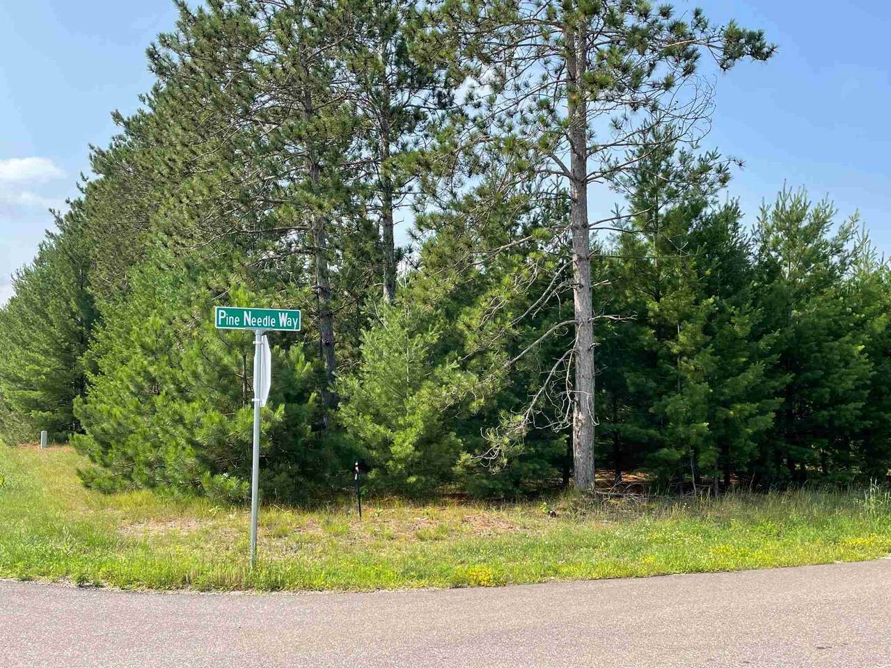 4720-Lot 22 of Grand Pine Needle Way - Photo 1