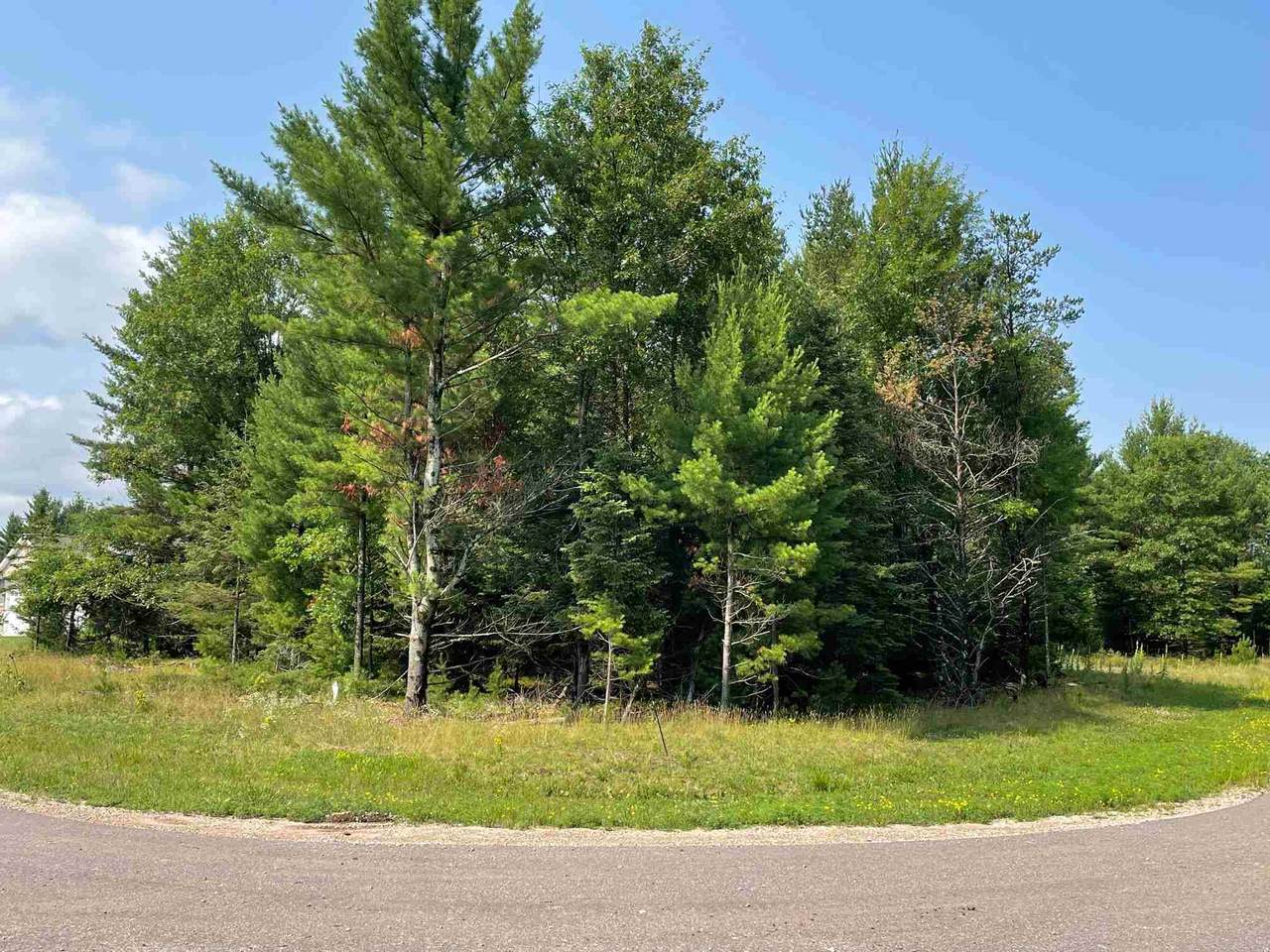 4910-4520 Grand Pine Pine Needle Way - Photo 1
