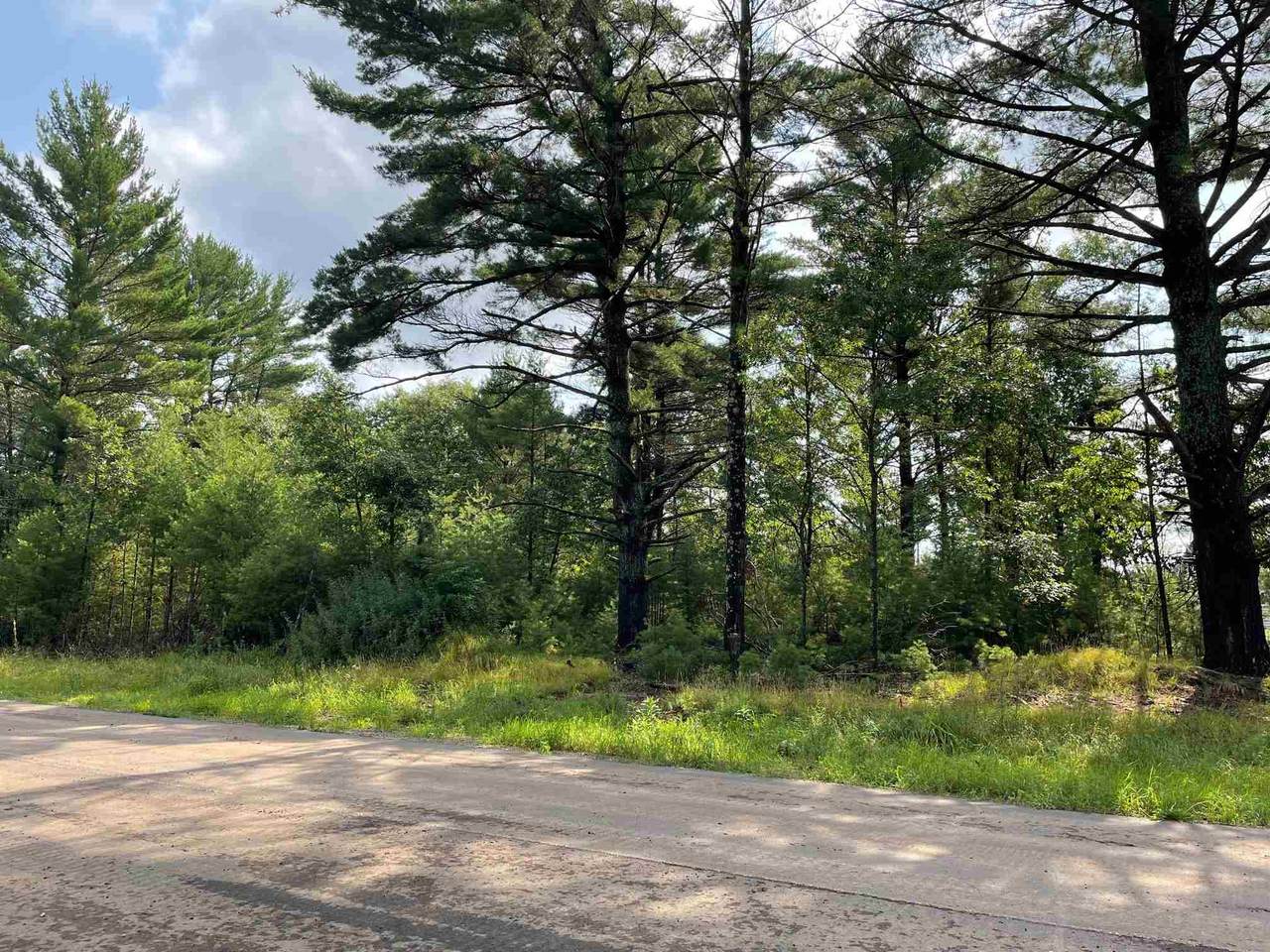 4921-Lot 34 in Grand Pinecone Court - Photo 1