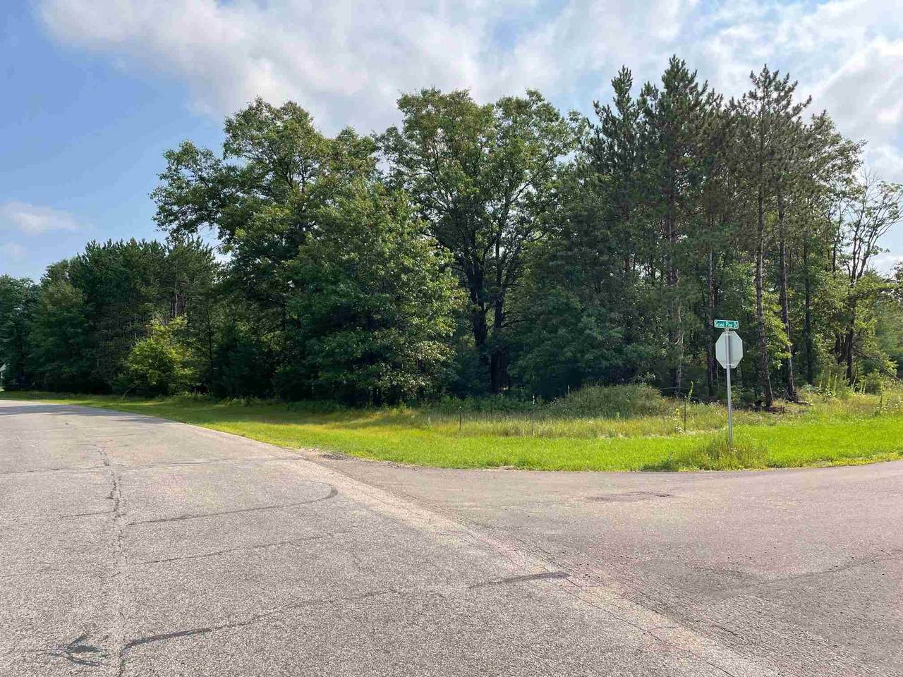 4411-Lot 45 in Grand Grand Pine Drive - Photo 1