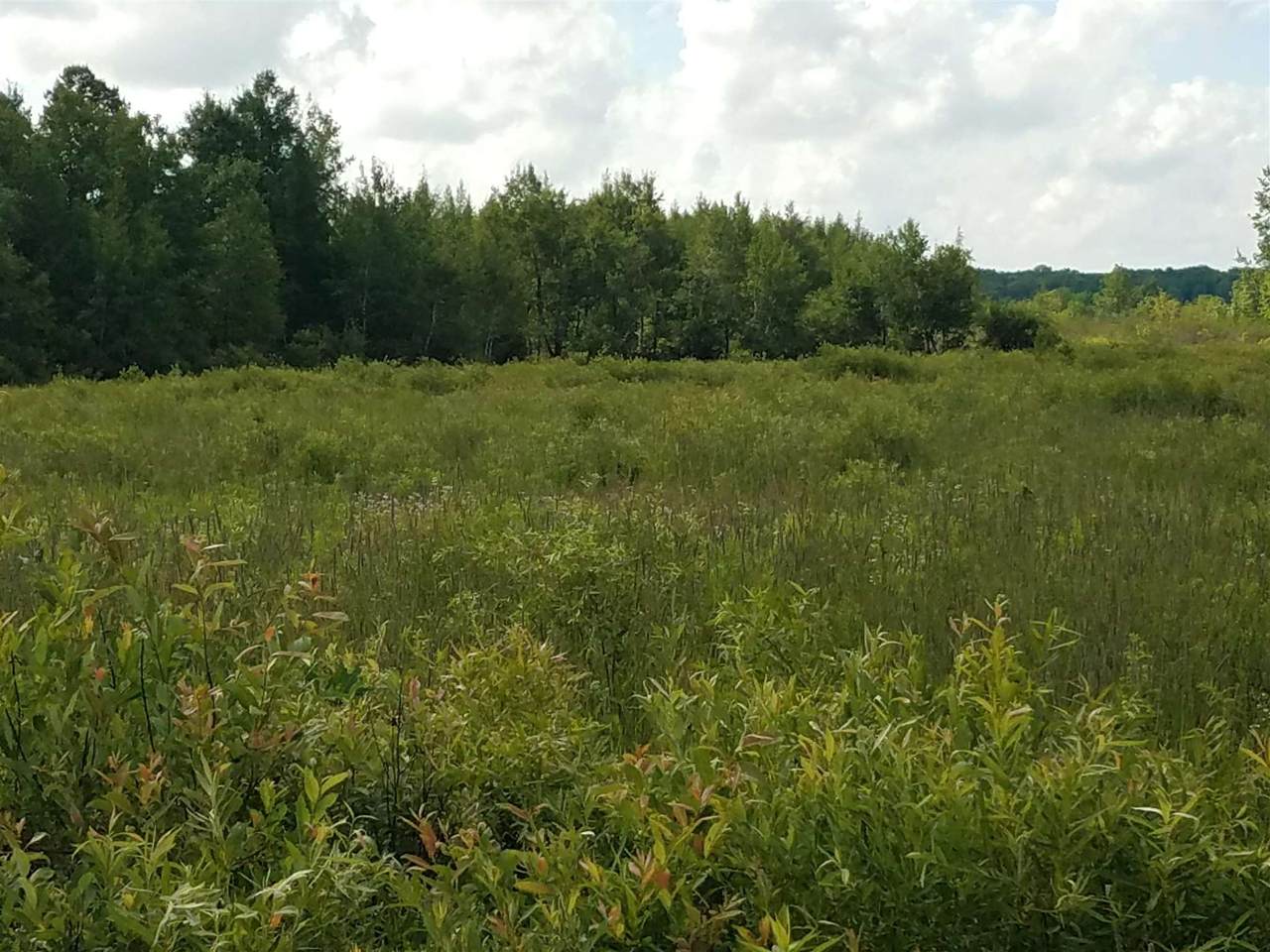 County Road D - Photo 1