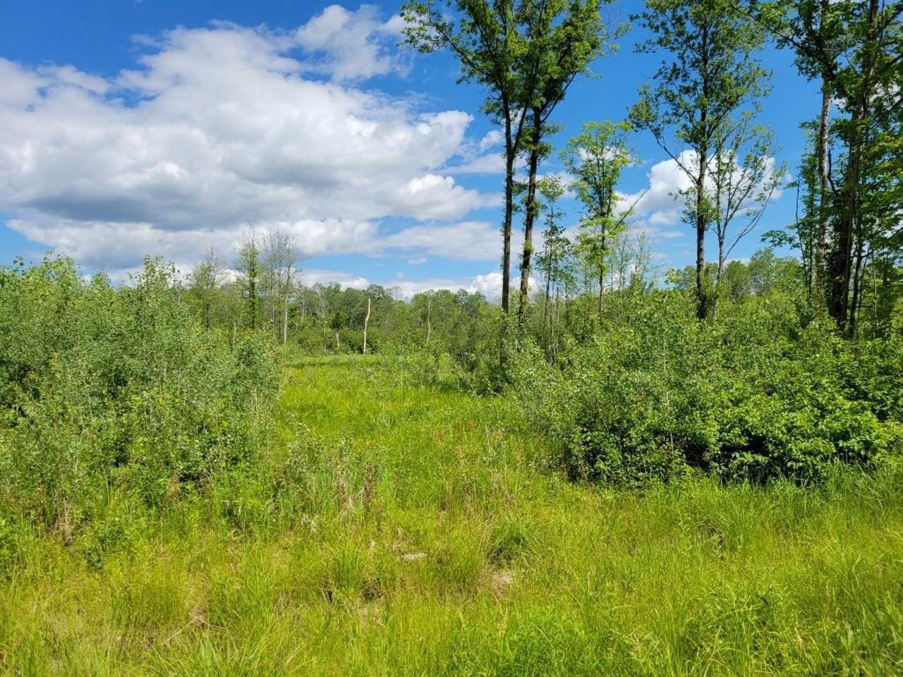Lot 3 Johnson Road - Photo 1