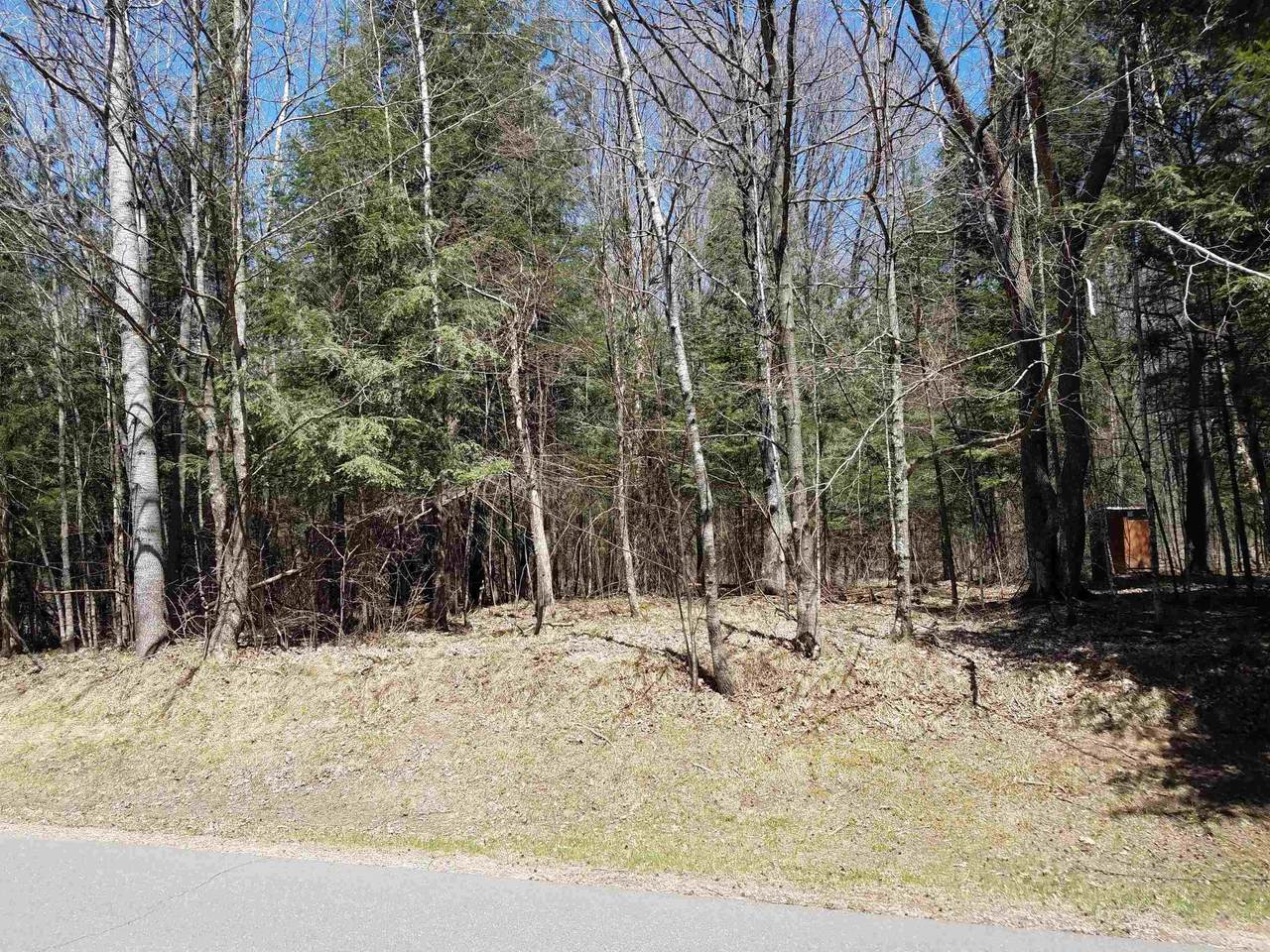 Big Valley Lot 5 Badger Ranch Road - Photo 1