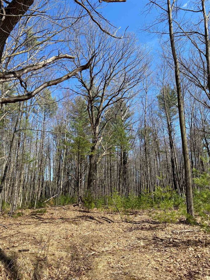 Lot 1 Linwood Drive - Photo 1