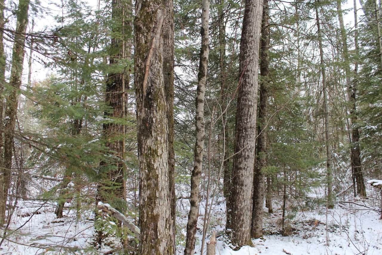 +/-2.197 Acres County Road I - Photo 1