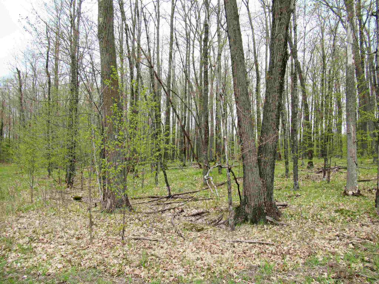 Parcel 14 Forest Edge Road - Photo 1