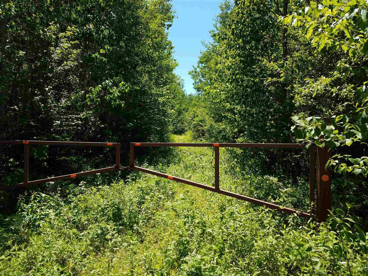 Wilson School Road - Photo 1
