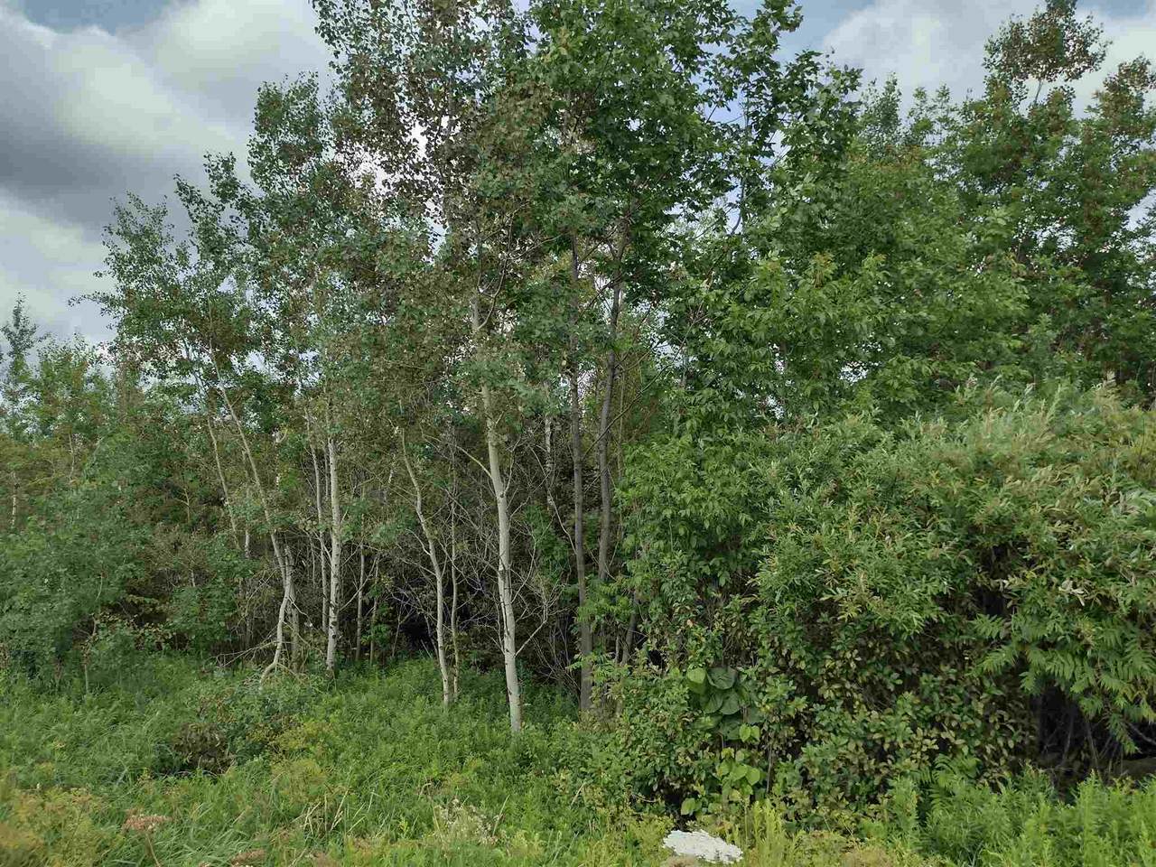0000-Lot 4 Highway 45 - Photo 1