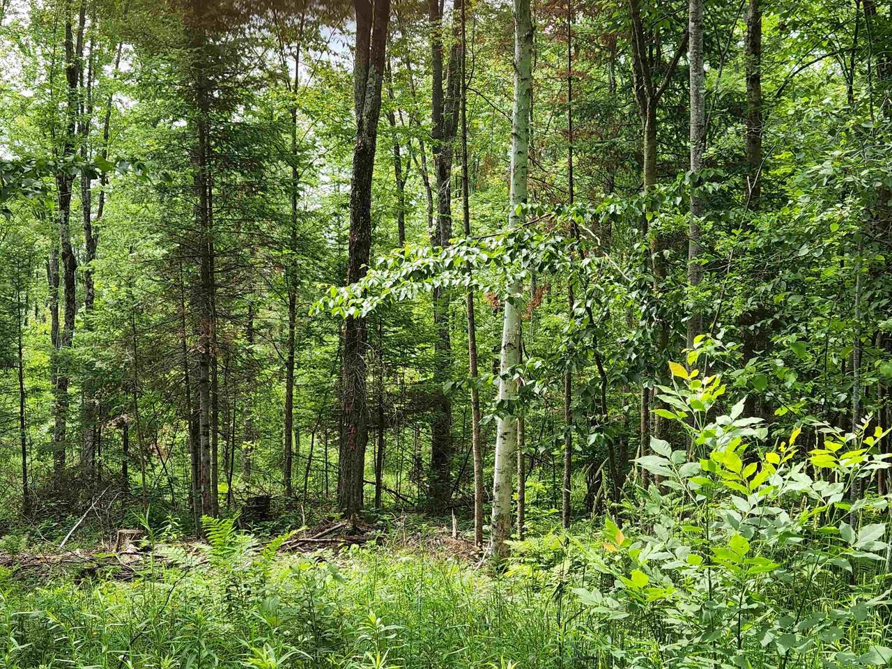 Harding Line Road - Photo 1