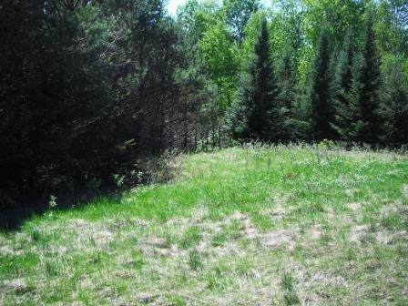 Lot 17 Crescent Creek Drive - Photo 1