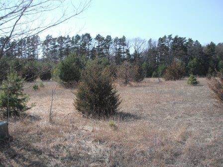 Lot 76 Pine Drive - Photo 1