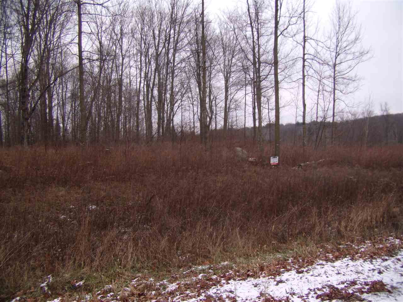 Thorn Apple Drive - Photo 1