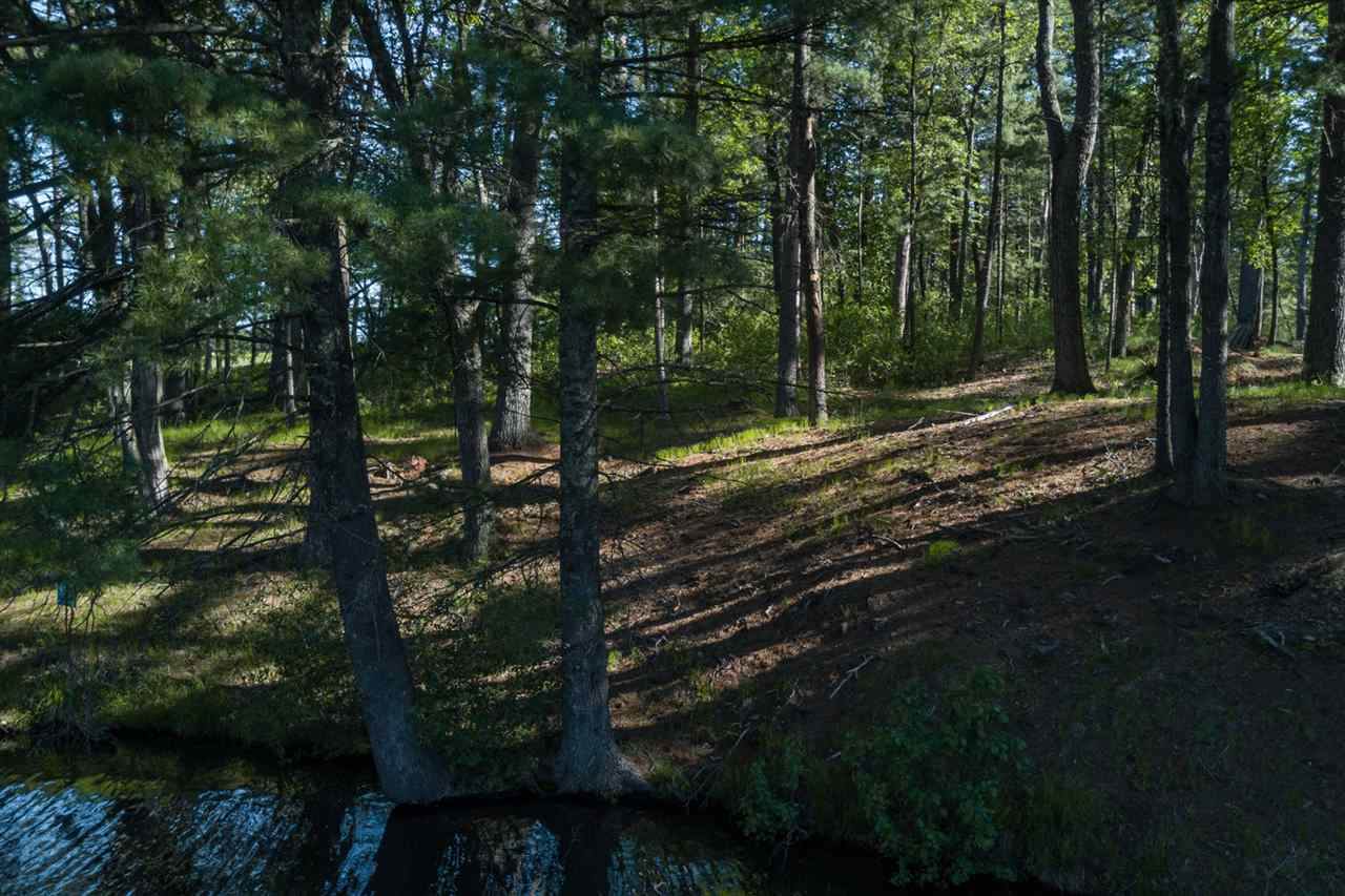 Lot 60 Fly Rod Trail - Photo 1