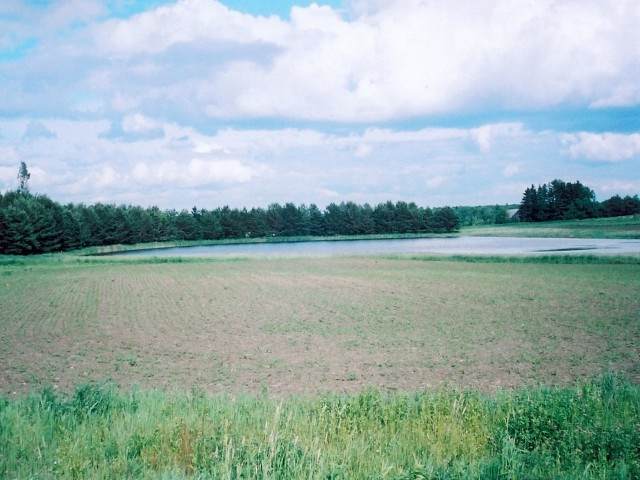 Lot 10 Woodsview Road - Photo 1