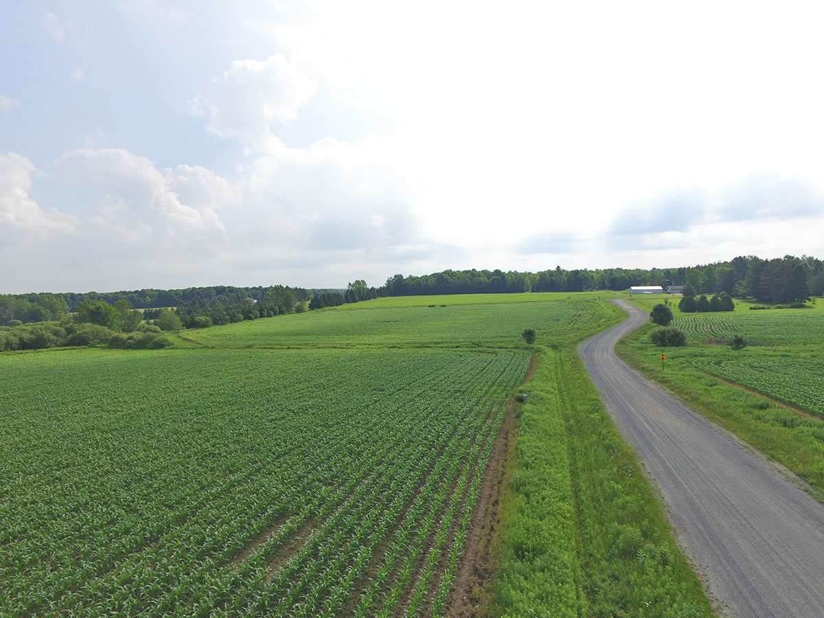 Lot 16 Kohl Road - Photo 1