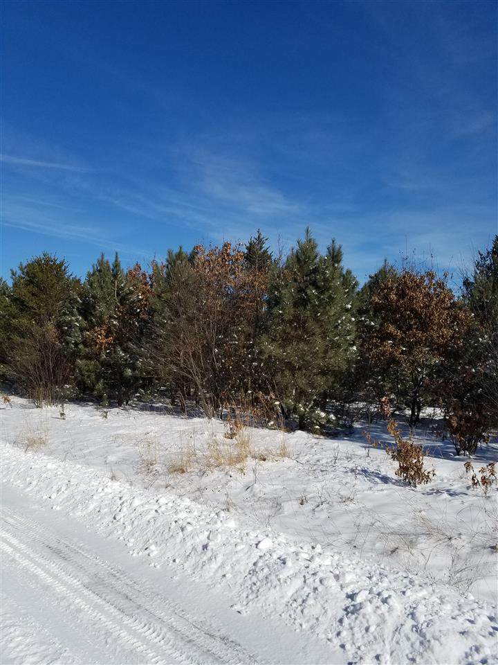 ON-Meteor 8290-1 13TH AVENUE - Photo 1