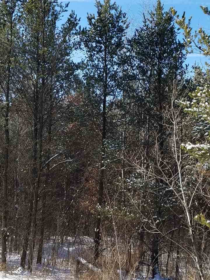 ON-Meteor 8313-4 State Highway 21 - Photo 1