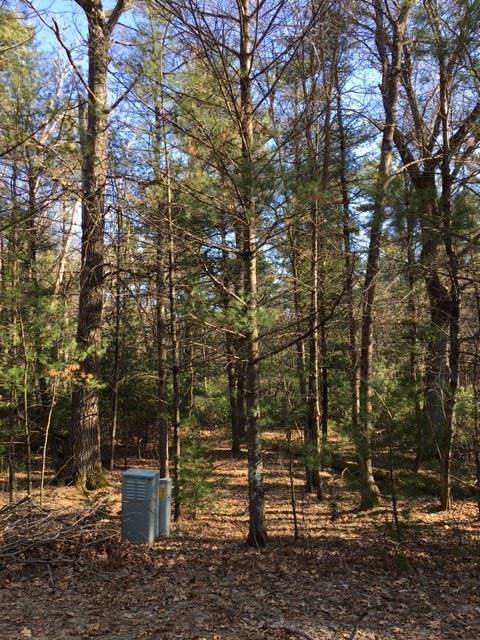 Lot 58 Brookhaven Trace - Photo 1