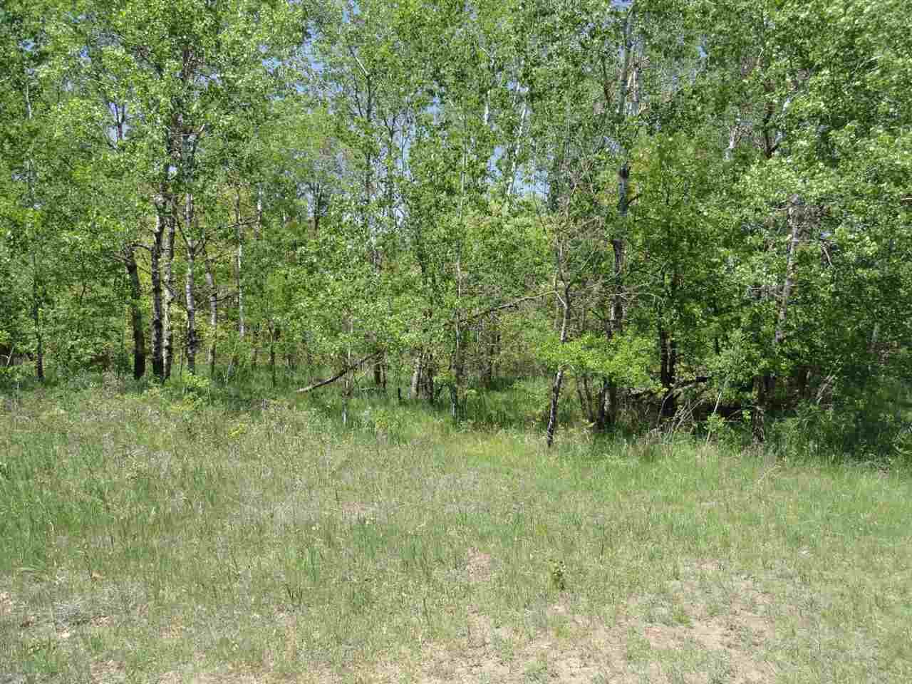 22 acres-Lot 11 Ray Art Road - Photo 1