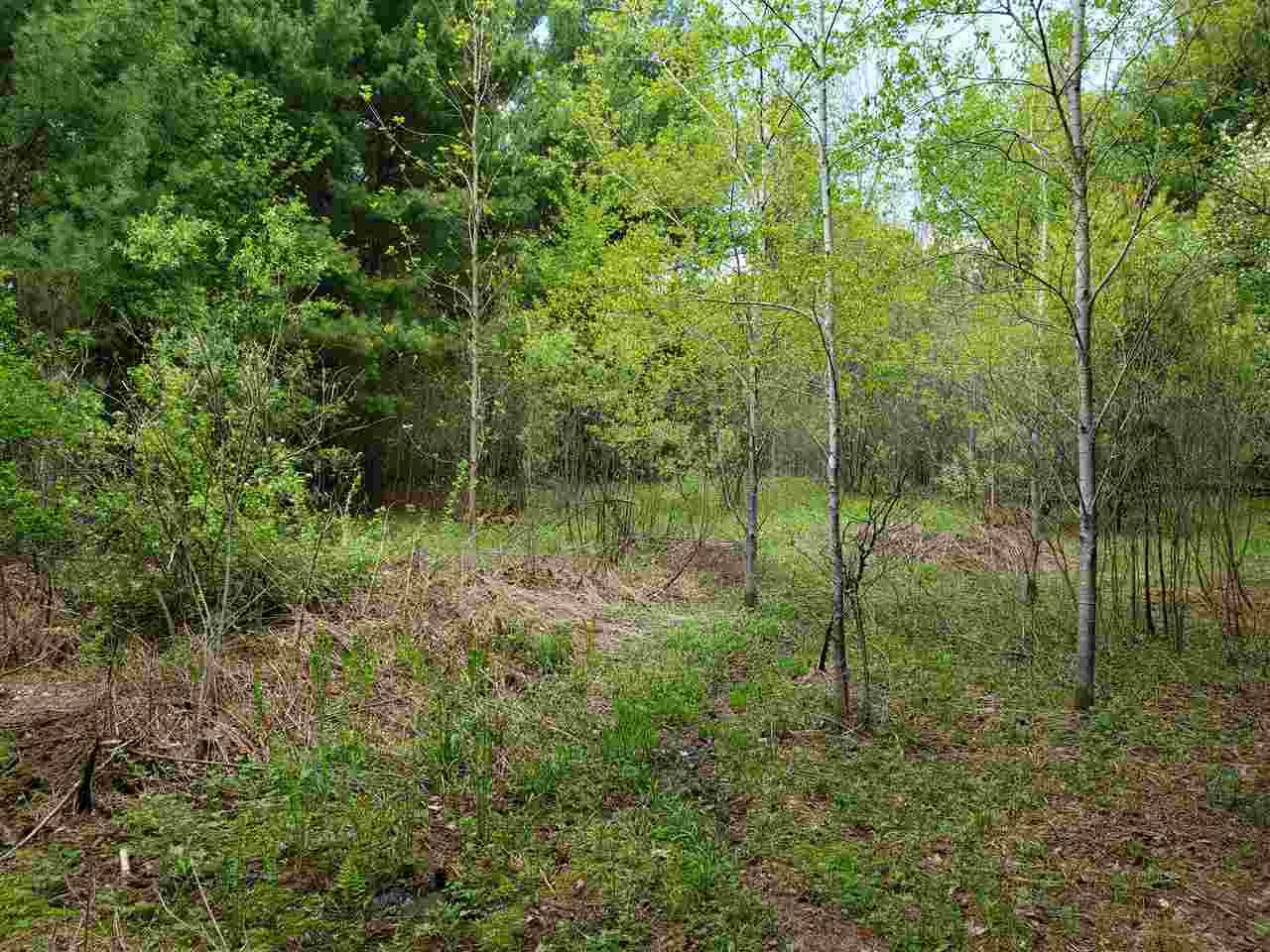 5096 Doering Drive - Photo 1