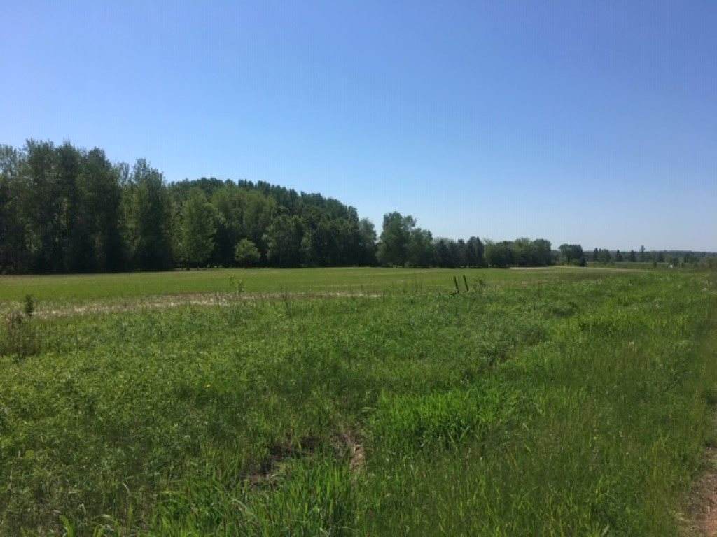 Lot 1 Callaway Drive - Photo 1