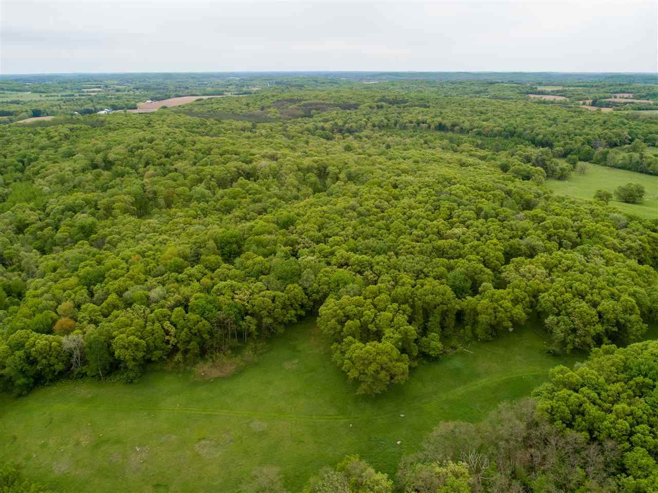 0 Elkins Road - Photo 1