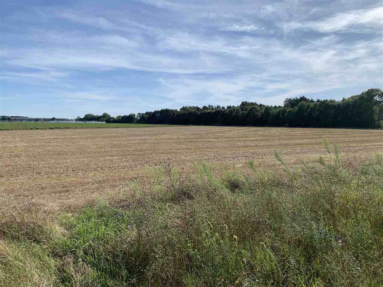 Lot 1 & Lot 2-173230 Roosevelt Drive - Photo 1