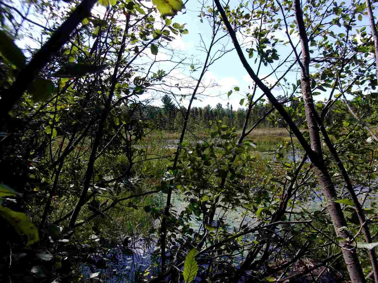 Lot 9 Unnamed Road - Photo 1