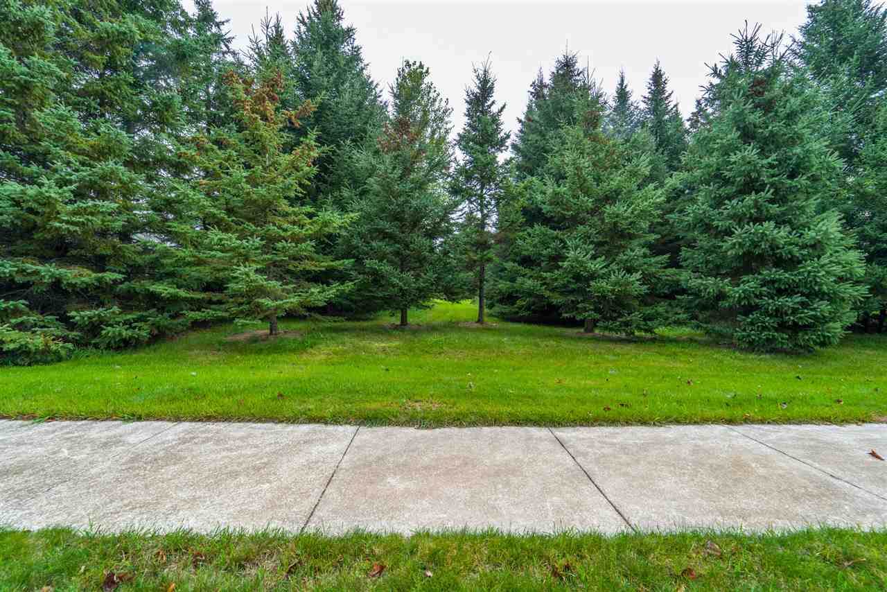 1904 Statesman Drive - Photo 1