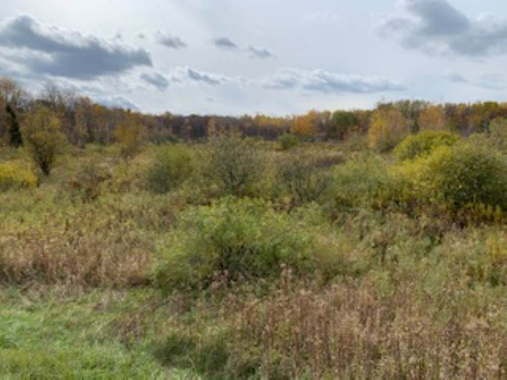 Lot 4 Ringle Avenue - Photo 1
