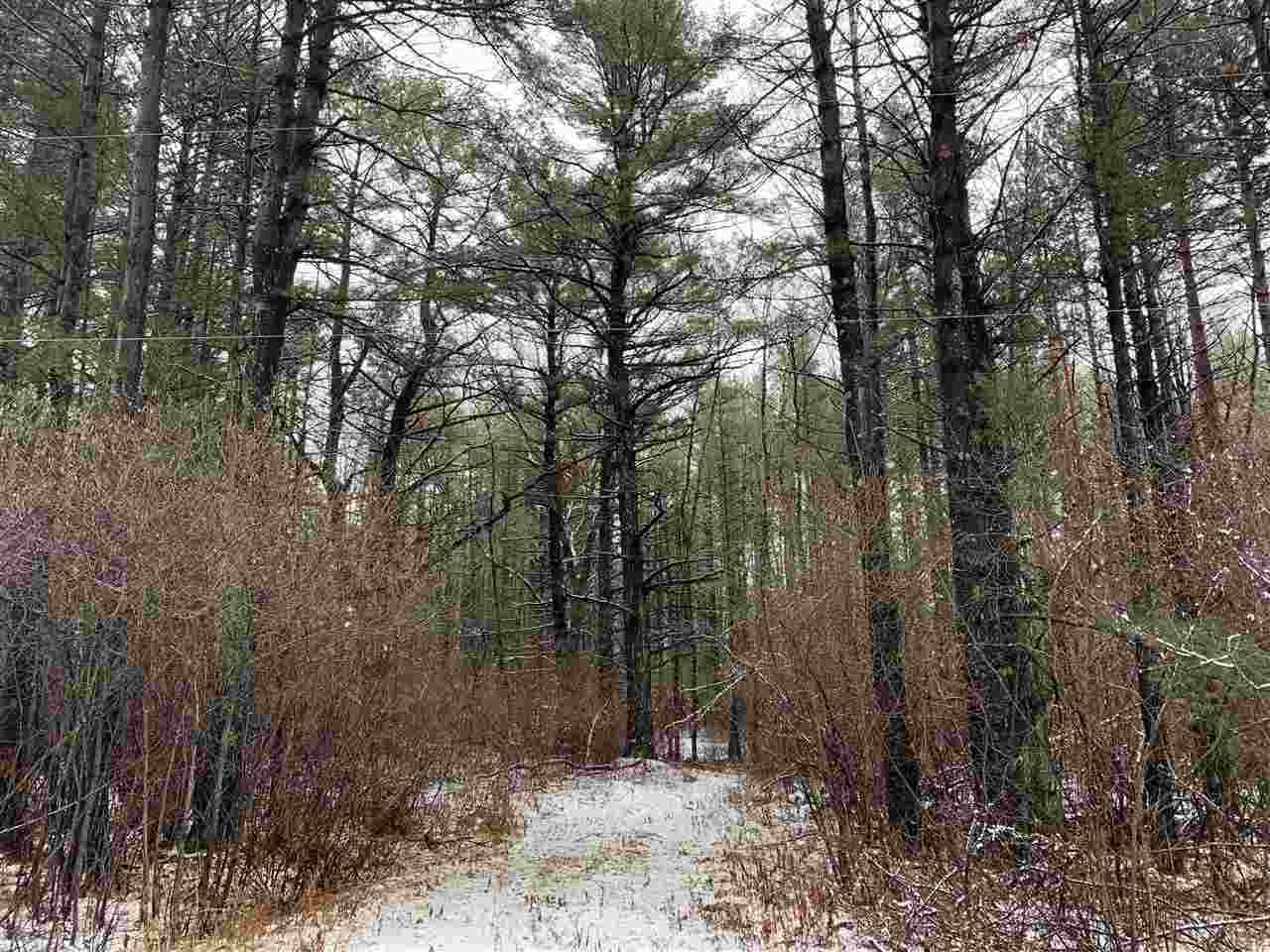 lot 1 Okray Drive - Photo 1