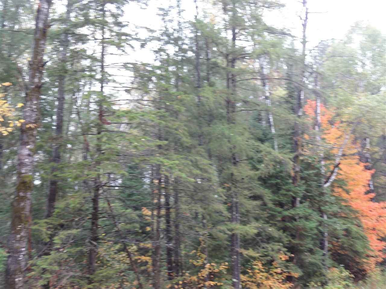 On Axen Road - Photo 1