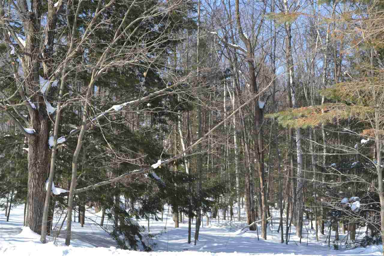 8604 Wintergreen Road - Photo 1