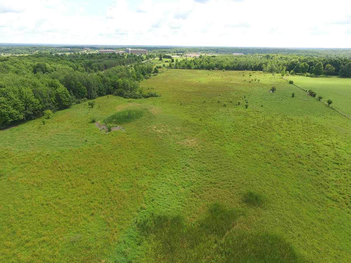 20 Acres MOL Alderson Street - Photo 1