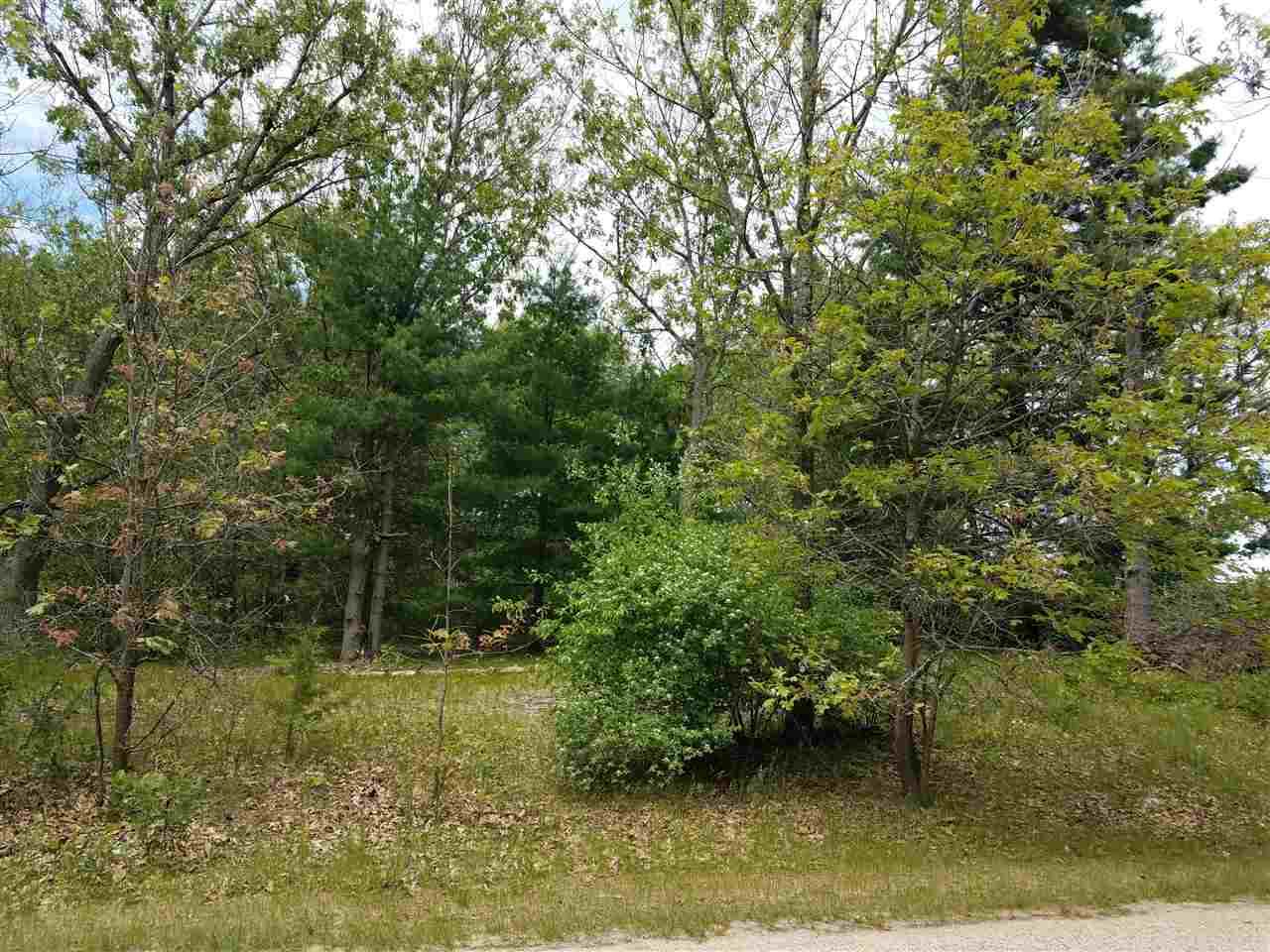 Lot 10 Fish Court - Photo 1
