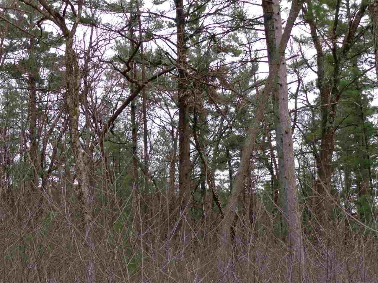 Lot 58 Fly Rod Trail - Photo 1