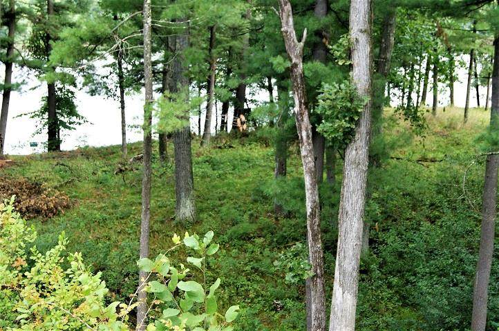 1541 East Shore Trail - Photo 1