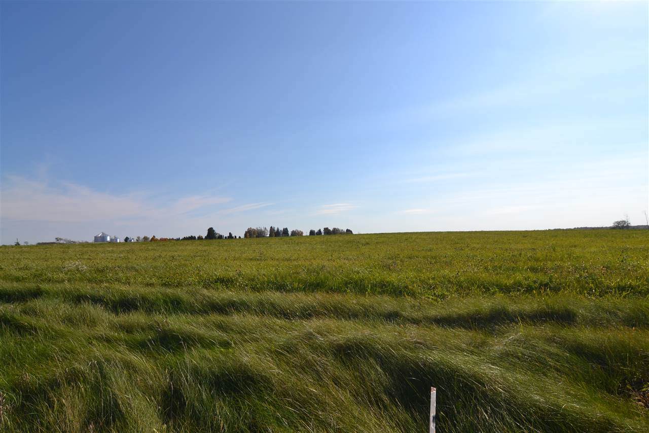 105-Lot 1 Royal Avenue - Photo 1