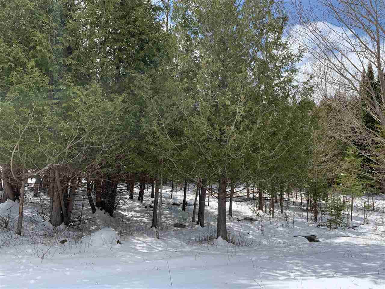 Lot 19 Keegan Court - Photo 1