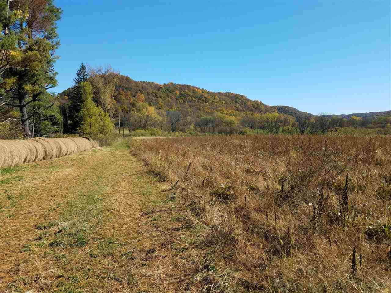 State Highway 131 - Photo 1