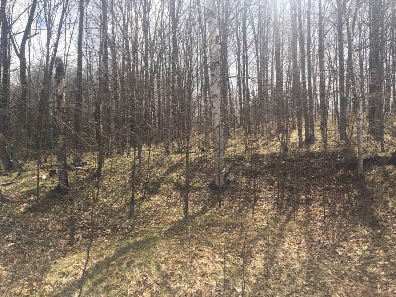 Lot 8 Klug Lane - Photo 1