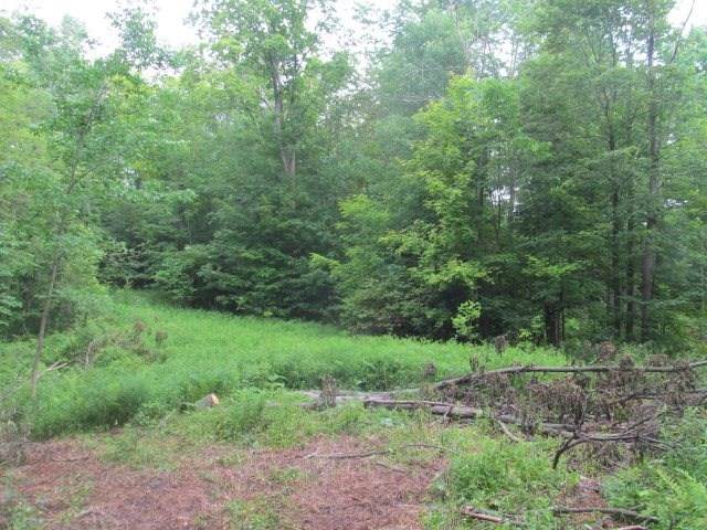 Lot 13 County Road F - Photo 1