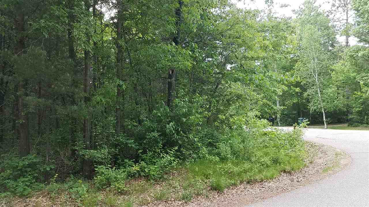 Lot #9 Center Road - Photo 1