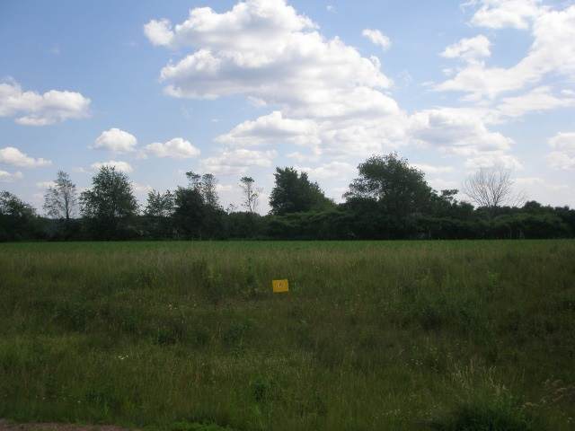 Parcel 11 Copper Ridge Trail - Photo 1